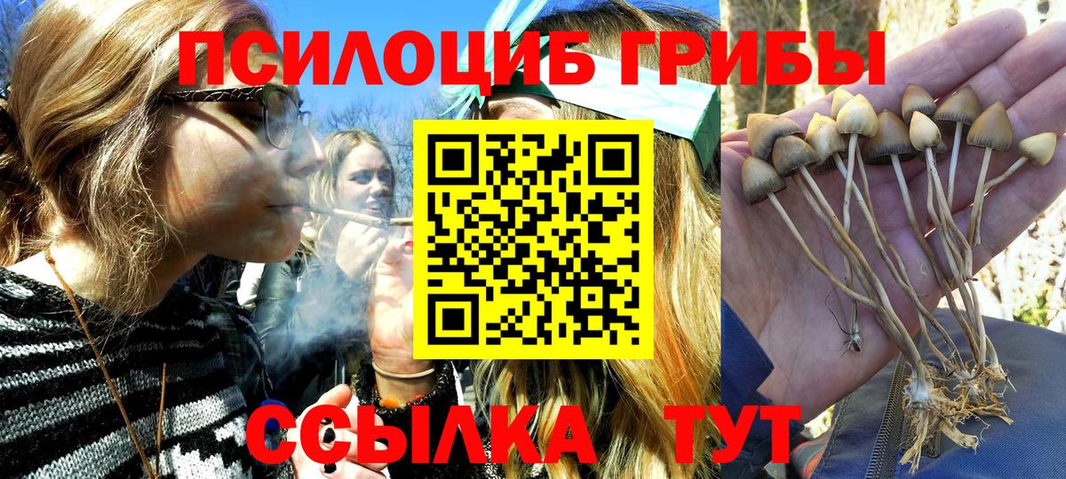 Галлюциногенные грибы GOLDEN TEACHER Шахты