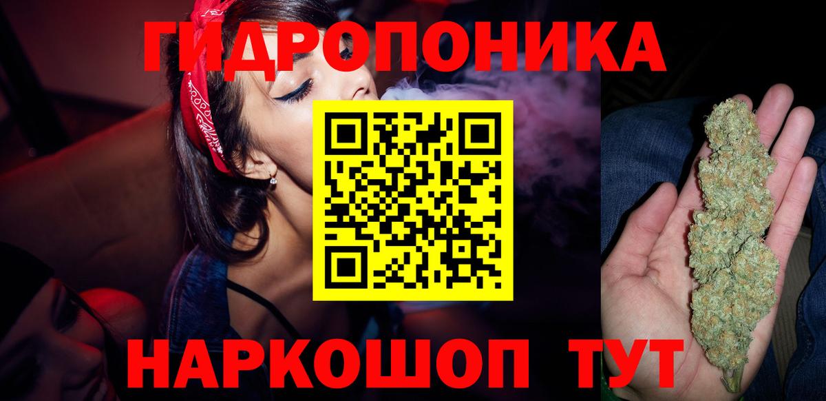Канабис сатива Шахты