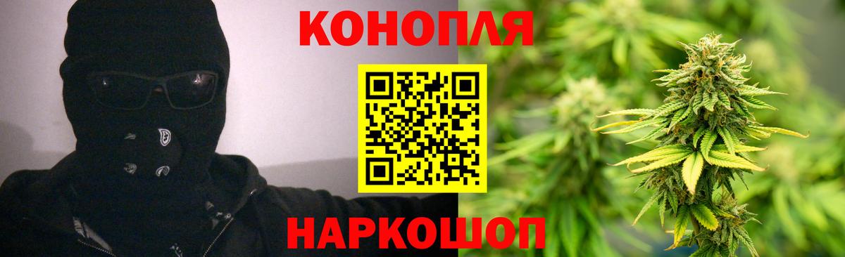 Бошки марихуана SATIVA & INDICA  МАРИХУАНА планчик  Шахты  Бошки марихуана Ganja  Марихуана White Widow  Вход с VPN 